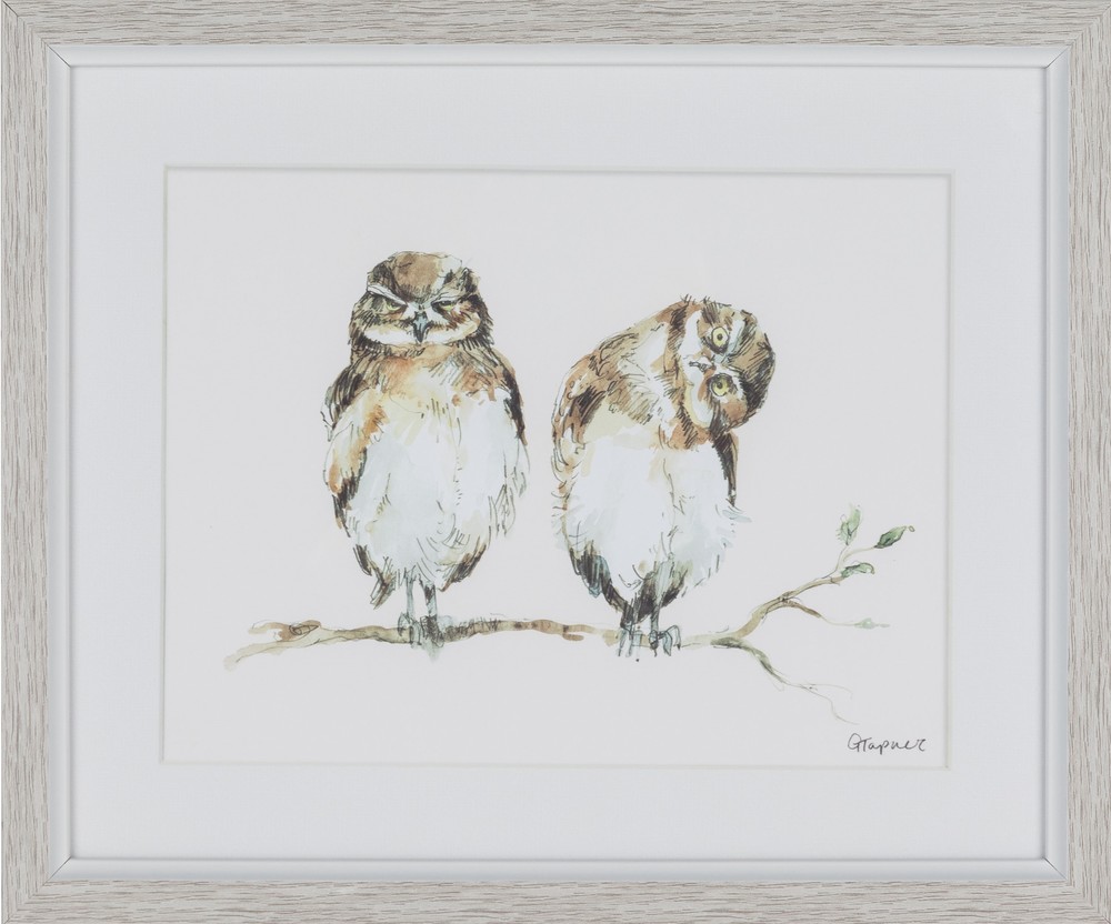 Framed Print - Hanging Out Owls