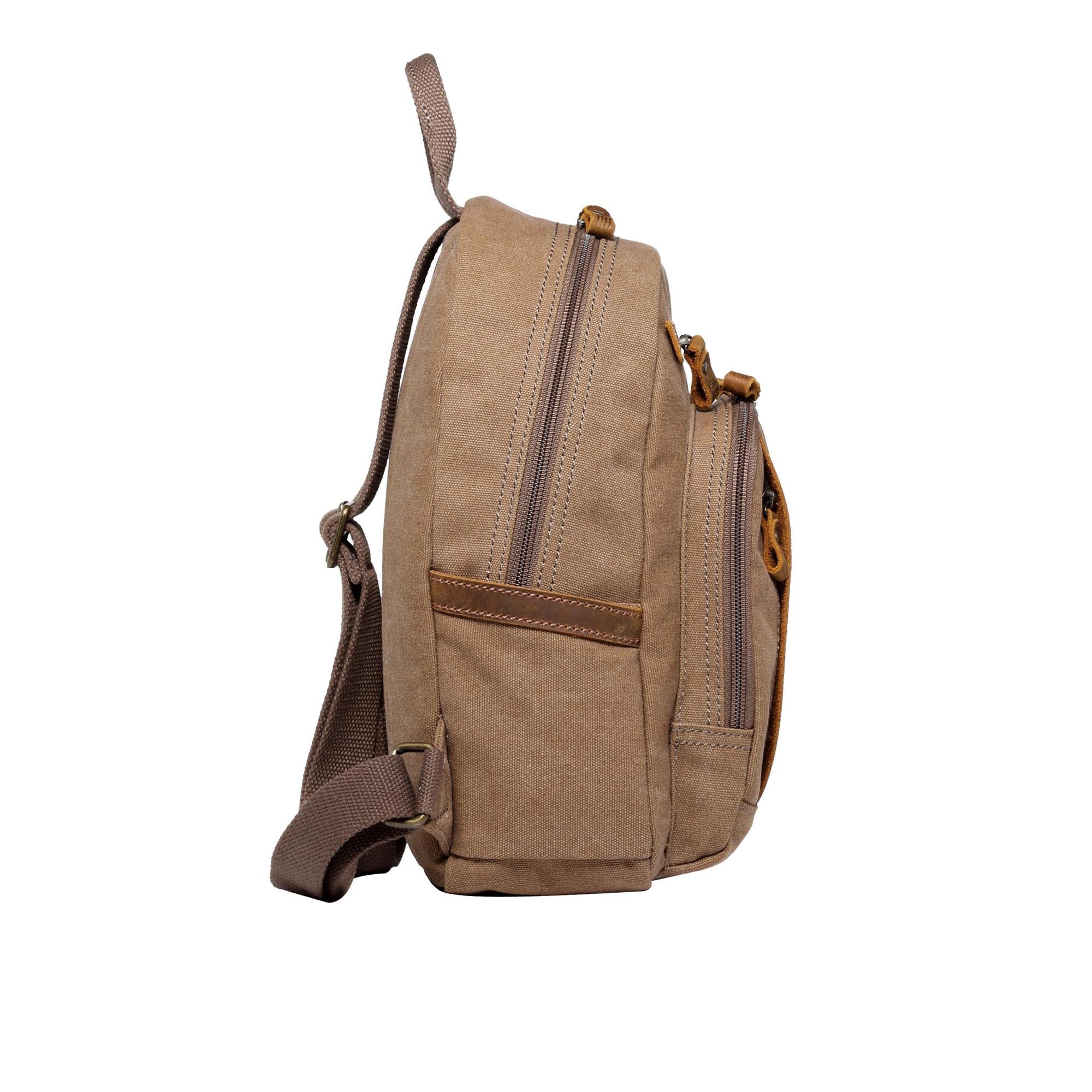 Classic 255 Small Backpack - Brown